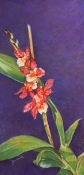 art of Julie Schmidt